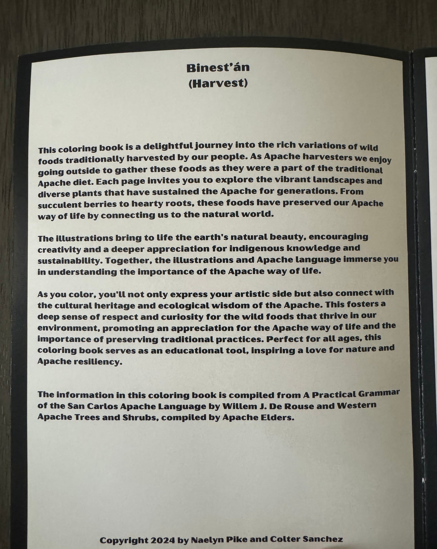 Binest'an (Harvest) Coloring Book