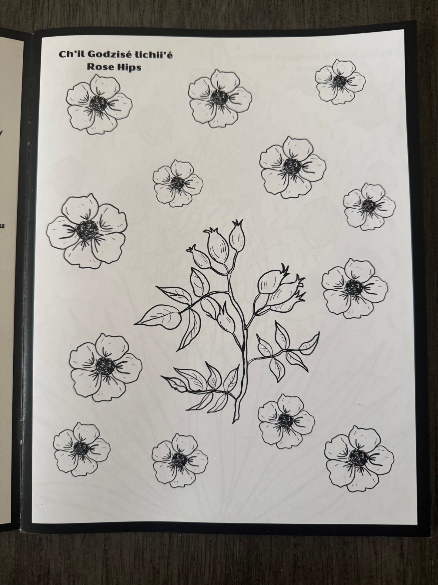 Binest'an (Harvest) Coloring Book