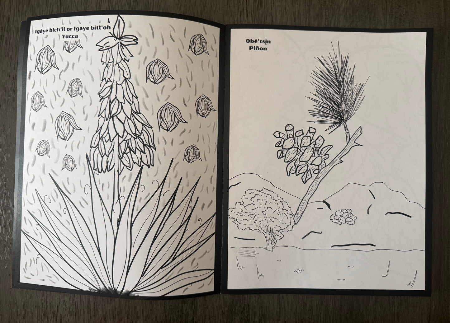 Binest'an (Harvest) Coloring Book