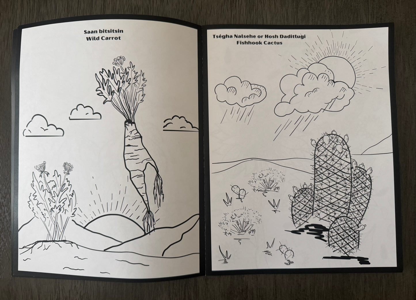 Binest'an (Harvest) Coloring Book